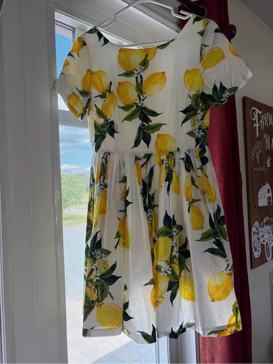 Dolce & Gabbana Dresses & Skirts - Dolce & Gabbana SS2016 Italia Is Love Collection Lemon Print Cotton Dress –IT 40